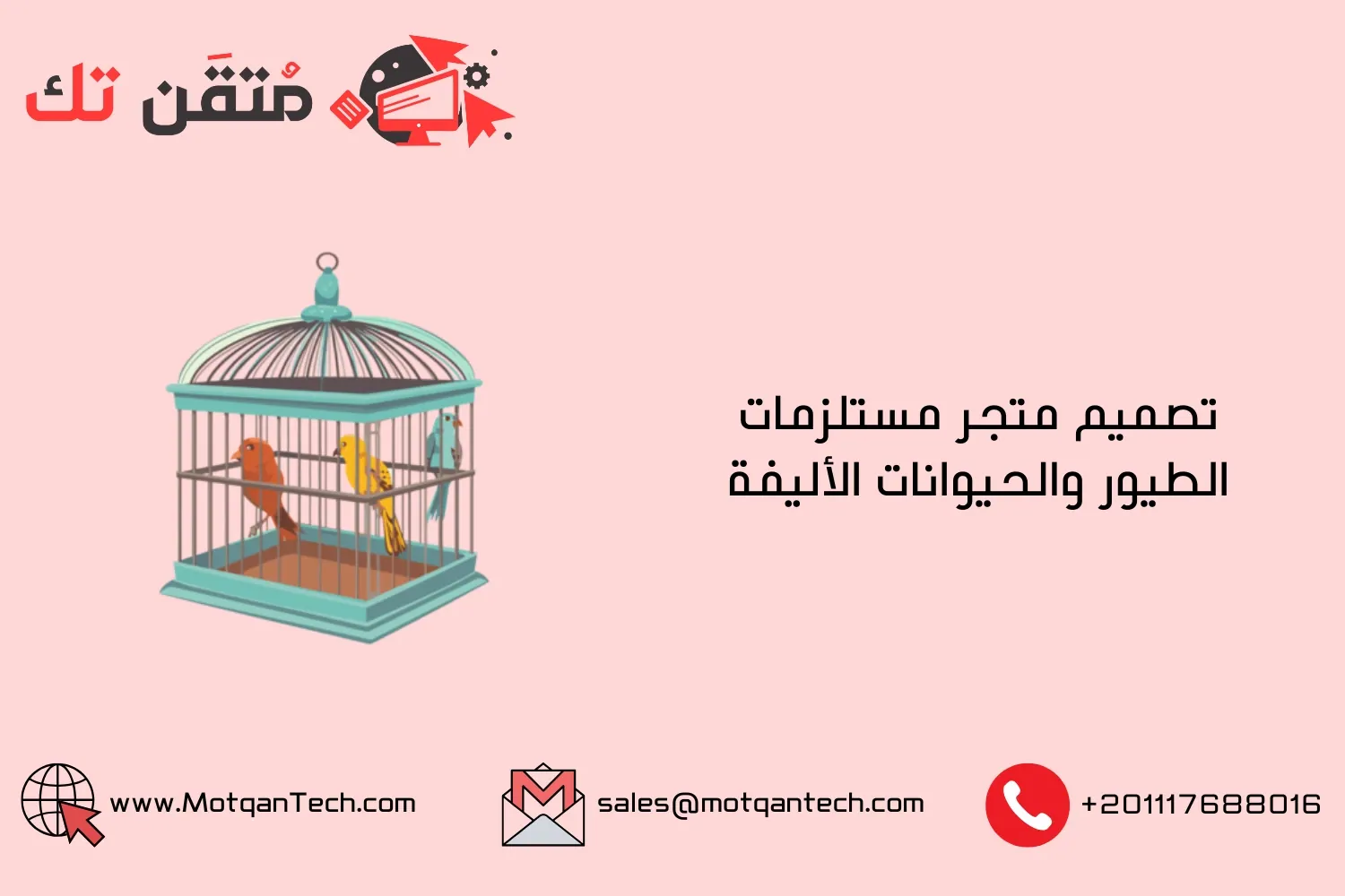 تصميم متجر مستلزمات الطيور